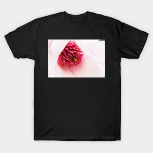 Delicate magnolia flower closeup T-Shirt